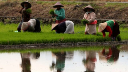 Arah Baru Penyuluhan Pertanian Indonesia