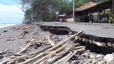 Abrasi Landa Pantai Pandansari Bantul, Akses Jalan di Tepi Pantai Rusak Parah