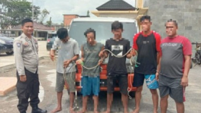Lima Pencuri Ternak Sapi di Muba Diringkus Polisi