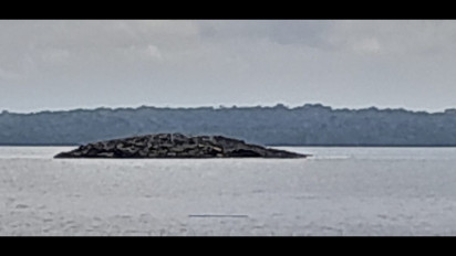 Aneh Muncul Tumpukan Lumpur Berbentuk Bukit di Permukaan Laut Pascagempa Tanibar, Fenomena Apa Ini?