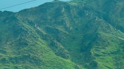 Heboh! Arab Saudi Menghijau, Netizen Sebut Kiamat Sudah Dekat