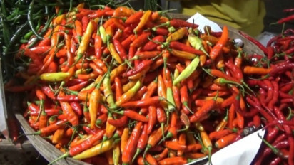 Harga Cabai di Pasar Bringharjo Meroket Rp70 Ribu per Kilogram