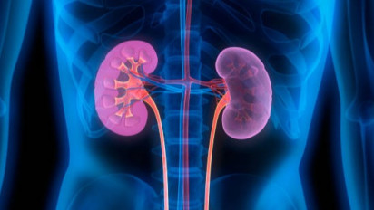 Soal Kasus Gagal Ginjal Akut, Ditipidter Bareskrim Polri Belum Jadwalkan Pemeriksaan Pejabat BPOM