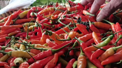 Harga Cabai di Pasar Banjarnegara Masih Tinggi Dijual Rp 300 Rupiah Per Biji