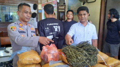 Waduh, 36 Kilogram Ganja Ditemukan di Perpustakan SDN