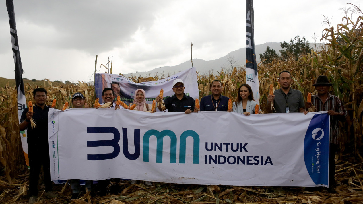 Panen Perdana, Program Makmur yang Diinisiasi Erick Thohir Dongkrak Hasil Tani Jagung
            - galeri foto