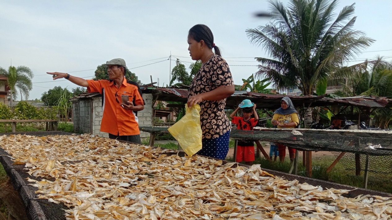 Ikan Asin Gelebe Topang Kehidupan Keluarga Suzan Asal Kepri, Sehari Bisa Hasilkan Hingga 100 Kg
            - galeri foto