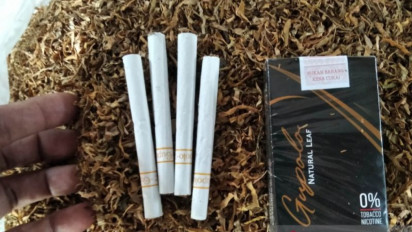 Wow! Warga Kudus Ciptakan Rokok Berbahan Baku Daun Talas
