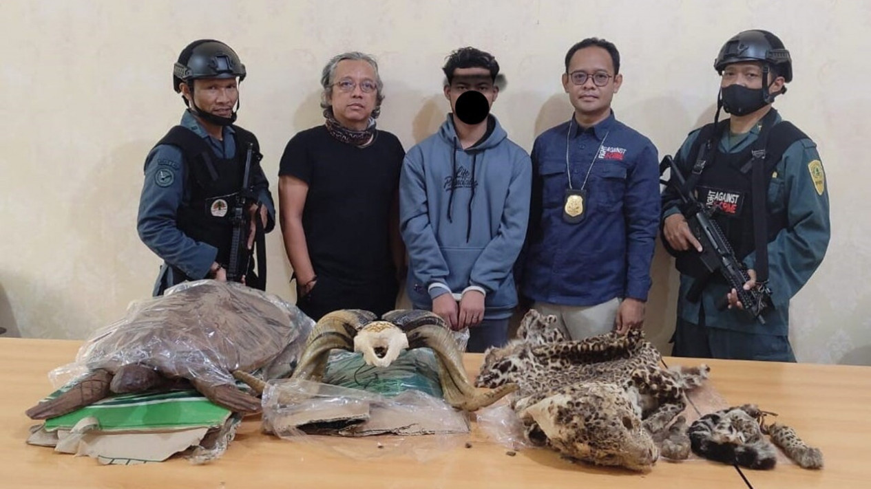 Ditjen Gakkum Kementerian Lingkungan Hidup dan Kehutanan Tangkap Satu Orang Penjual Satwa Dilindungi di Bekasi
            - galeri foto