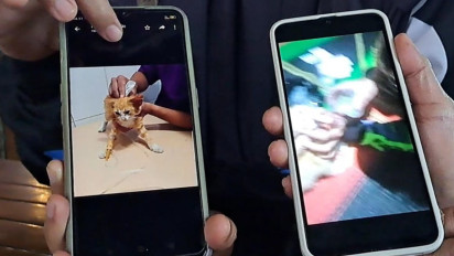 Anak Kucing yang Dicekoki Tuak Kini Jalani Rawat Inap di Klinik Hewan Karena Alami Diare