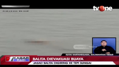 Bak Kisah Fiksi, Seekor Buaya Selamatkan Jasad Balita di Sungai Mahakam