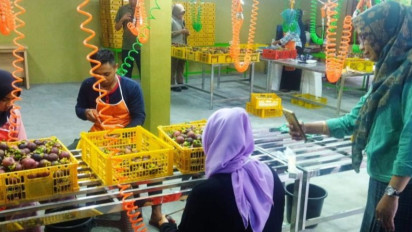 Wow! NTB Sudah Ekspor Manggis dan Rambutan ke Dubai