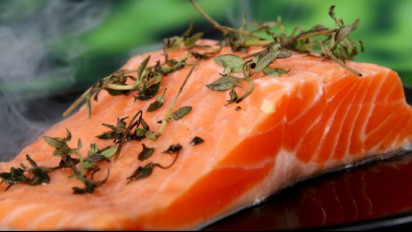 Pentingnya Protein Hewani Bagi Tumbuh Kembang Anak