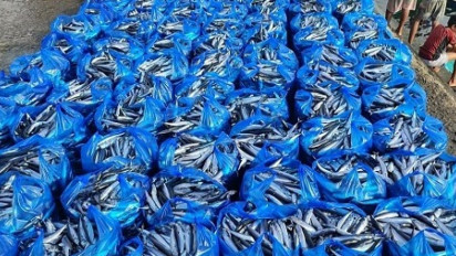 Harga Ikan Segar di Sikka Anjlok Hingga Rp20.000 per Kantong