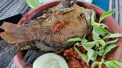 Sambal Orek Ikan Nila, Segar dan Pedas Maknyus, Sensasi Kuliner Hasil Tangkapan Langsung dari Kabupaten Lamongan