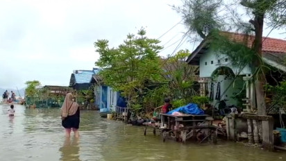 Puluhan Rumah Terendam Banjir Rob, Warga Minta Pemerintah Beri Solusi