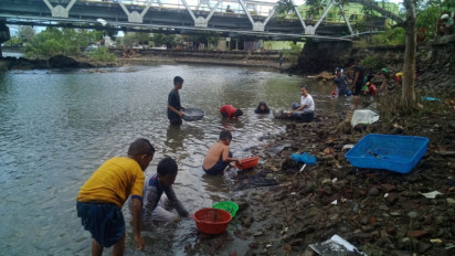 Serunya Hasilkan Cuan Dengan Berburu Ikan Seribu di Sungai Karema