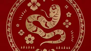 Ramalan shio ular di tahun kelinci air 2023