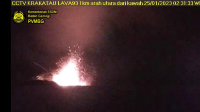 Gunung Anak Krakatau Terus Erupsi, Warga Diminta Tidak Mendekati Radius 5 Km