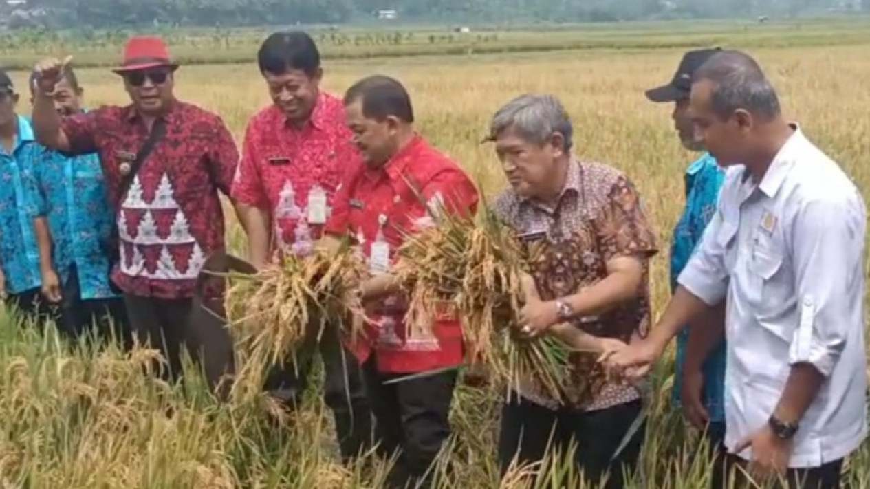 Konsep Pemurnian Tanah, Pemkab Semarang Dorong Penggunaan Pupuk Organik
            - galeri foto