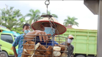 Camilan Bergizi Bisa Didapat dari Pangan Lokal
