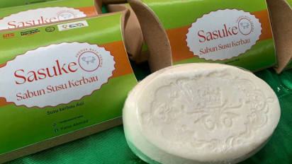 Ciptakan Produk Sabun Susu Kerbau, Program Merdeka UTS Manfaatkan Kearifan Lokal