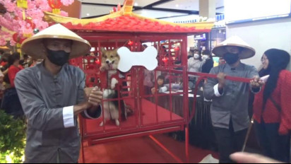 Ulang Tahun Anjing Digelar Mewah dan Meriah, Berbusana Ala Kekaisaran Cina Diarak Keliling Mall