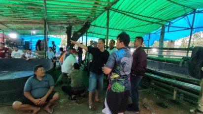 Meresahkan Masyarakat, 17 Pelaku Perjudian Sabung Ayam di Grobogan Disikat Polisi