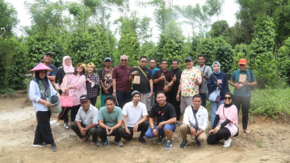 Produksi Lada di Kabupaten Belitung Semakin Pesat, Petani Sasar Peluang Ekspor