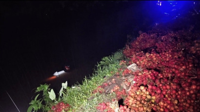 Gegara Alami Pecah Ban, Pick Up Muatan Rambutan Terjun Ke Sungai Bondoyudo, Polisi : Satu Penumpang Dilaporkan Hilang