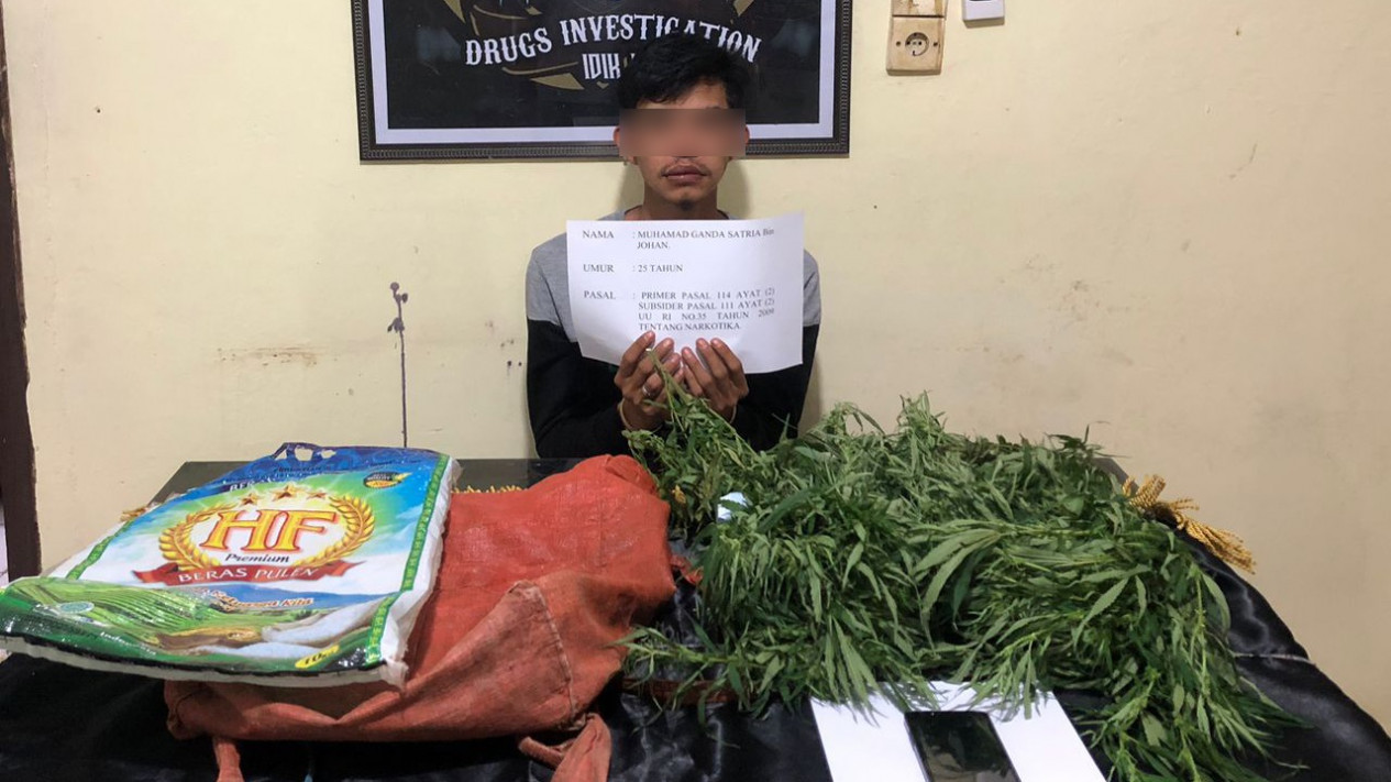 Tim Macan Satreskoba Polres Merangin Bekuk Bandar Narkoba Jenis Ganja
            - galeri foto
