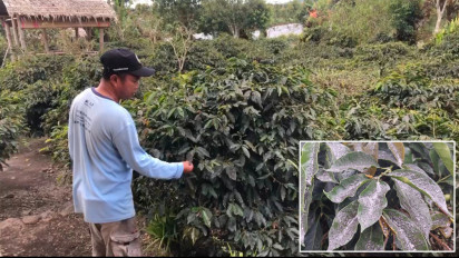 13 Desa di Kerinci Diguyur Hujan Abu Vulkanik Gunung Api Kerinci