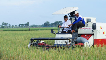 Panen Padi di Kabupaten Bekasi Melimpah, ini Pesan dan Harapan Petani