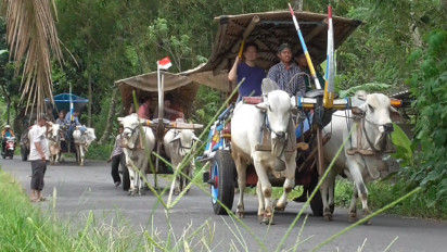 Asean Tourism Forum 2023, Para Delegasi dan Buyer ATF Diajak Naik Gerobak Sapi Keliling Merapi
