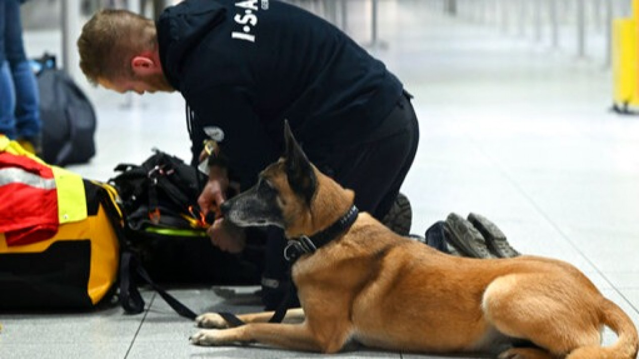 Gempa Turki, Meski Sedang Perang Suriah Serukan Adanya Bantuan Kemanusian
            - galeri foto