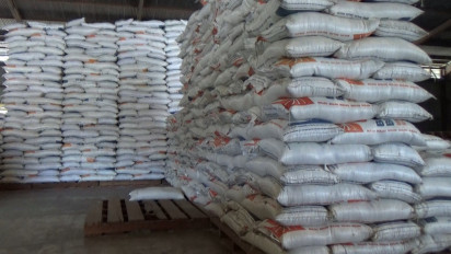 Miliki Stok Beras 1.400 Ton, Bulog Tanjungpinang Pastikan Cukup untuk 5 Bulan