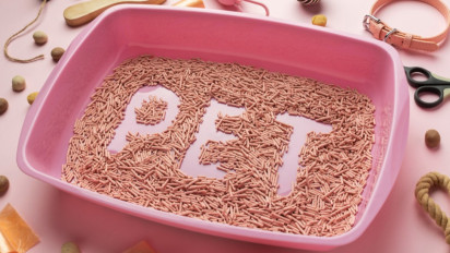 Catat! Perhatikan 5 Hal Berikut untuk Menentukan Lokasi Tepat Menyimpan Kotak Kotoran Kucing Anda di Rumah