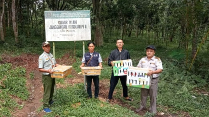 Terjaring di Ketapang Banyuwangi, Ratusan Ekor Burung Kicau Gagal Diselundupkan ke Bali