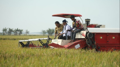 Panen Raya Padi di Banten, Mentan: Ketersediaan Beras Aman