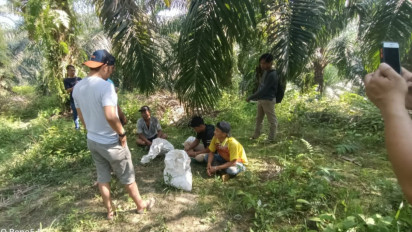 Tiga Pelaku Pencuri Buah Kelapa Sawit di Merangin Jambi Dibekuk Polisi