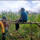 Polisi Masih Terus Dalami Motif Ibu Bakar Bayi, Hingga Rencana Pemeriksaan Kejiwaan