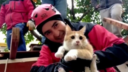 Dramatis! Detik-detik Mengharukan Tim SAR Selamatkan Seekor Kucing yang Tertimbun Reruntuhan Gempa Turki