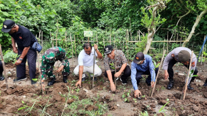 Upaya Pelestarian Lingkungan Hutan Bakau Alami Kendala, Banyak Tanaman Bakau Mati