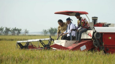 Beras Indonesia Melimpah Ruah, Perpadi Sebut Cari Gabah Sangat Mudah
