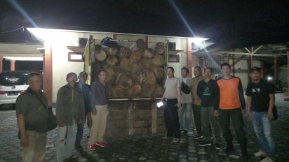 Hasil Pembalakan Liar, Puluhan Gelondong Kayu Jati Ilegal di Banyuwangi Diamankan Polisi