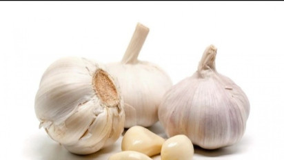 Simak Manfaat Bawang Putih, Menurunkan Kolesterol, Cegah Kanker hingga Buat Gairah Seksual