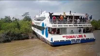 Lepas kendali, Kapal Ferry Tabrak Hutan Bakau di Perairan Meranti