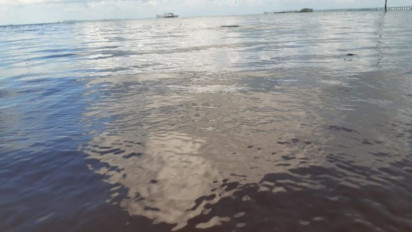 Diduga Tumpahan Minyak, Pantai Trikora Bintan Tercemar Limbah