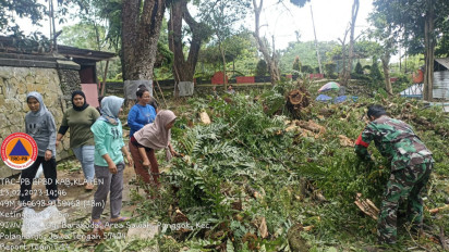 Batang Dahan Pohon Munggur di Wisata Umbul Ingas Klaten Roboh Timpa Warung