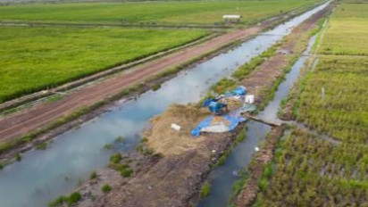 Peneliti CIPS Minta Bulog Serap Beras Panen Raya Secara Maksimal